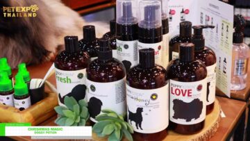 [Pet Expo Thailand 2021] Christmas Magic - Doggy Portion
