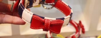 [Pet Expo Thailand 2021] Heartmade Dog Collar - AVOCADOG