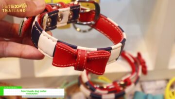 [Pet Expo Thailand 2021] Heartmade Dog Collar - AVOCADOG