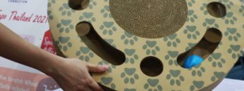 [Pet Expo Thailand 2021] Interactive Scratch Wheel - Carton Connection
