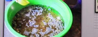 [Thailand Coffee, Tea & Drinks | Bakery & Ice-Cream 2022] Pusang Coffee Beans - Pusang Coffee