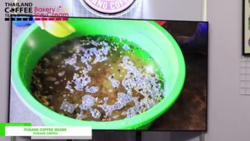 [Thailand Coffee, Tea & Drinks | Bakery & Ice-Cream 2022] Pusang Coffee Beans - Pusang Coffee