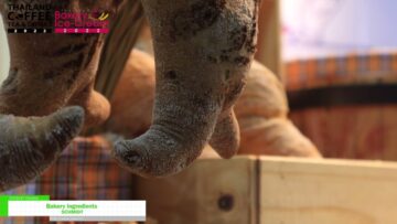 [Thailand Coffee, Tea & Drinks | Bakery & Ice-Cream 2022] Bakery Ingredients - SCHMIDT