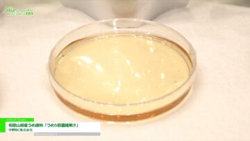 [ifia JAPAN 2022 ] 和歌山県産うめ原料「うめ5倍濃縮果汁」 - 中野BC株式会社
