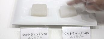 [ifia JAPAN 2022 ] ウルトラマンナン Gシリーズ - 伊那食品工業株式会社