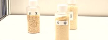 [ifia JAPAN 2022 ] TSUNO フィチン酸 - 築野食品工業株式会社