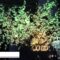 [Japan Event Week 2022] LED造形物「樹木」 - 株式会社向陽プランニング