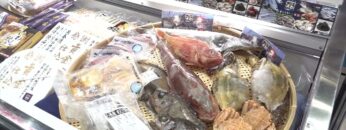 [FOOD STYLE Japan 2022] 石巻のうまい一筋 - 株式会社ヤマサコウショウ