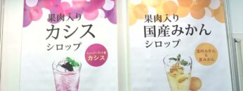 [FOOD STYLE Japan 2022] こだわりの果肉入りシロップ - フードインパクト株式会社