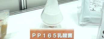 [第1回 国際発酵・醸造食品産業展 (2022)] PP165乳酸菌(生菌粉末) - 株式会社ミライ化成