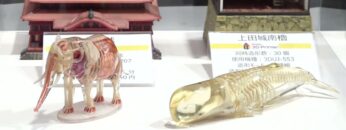 [TCT Japan 2023 -3Dプリンティング & AM技術の総合展-] 3DUJ-2207 UV硬化インクジェット方式小型フルカラー3Dプリンタ - 株式会社ミマキエンジニアリング