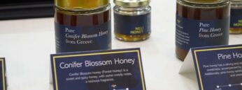 Video thumbnail for youtube video _3ze9sawa-o