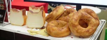 Video thumbnail for youtube video ljoqf5snmjy