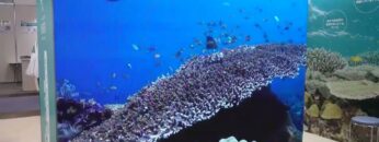 Video thumbnail for youtube video pqkx9fzrsek