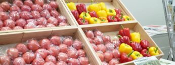 Video thumbnail for youtube video _3o3ecdrhkm