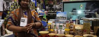 Video thumbnail for youtube video -jwrjjd1cz8