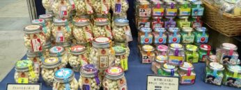 Video thumbnail for youtube video l2e8uxv-g4c