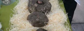 Video thumbnail for youtube video 7s3r1y9fpeu