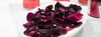 Video thumbnail for youtube video ani6q8ahgfs