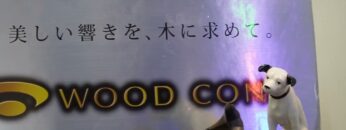 Video thumbnail for youtube video nc8s-ulgizc