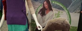 Video thumbnail for youtube video w0l5b2yotbq