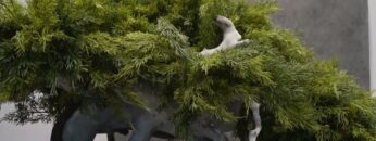 Video thumbnail for youtube video zsexo6ha-og