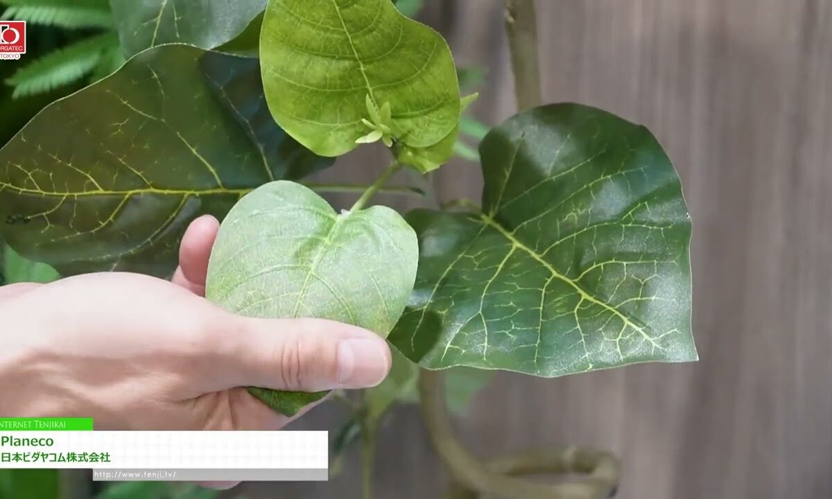 Video thumbnail for youtube video ime_w82o3ts