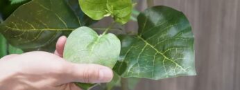 Video thumbnail for youtube video ime_w82o3ts