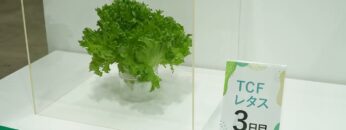 Video thumbnail for youtube video d2zzv_wyw6u