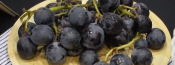 Video thumbnail for youtube video _nwvor4wt_m