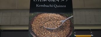 Video thumbnail for youtube video mdcwtvbkjmy