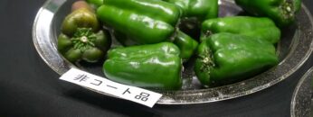 Video thumbnail for youtube video ihqdwf0kqkw