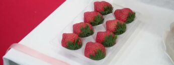 Video thumbnail for youtube video ju1mgyjvog4