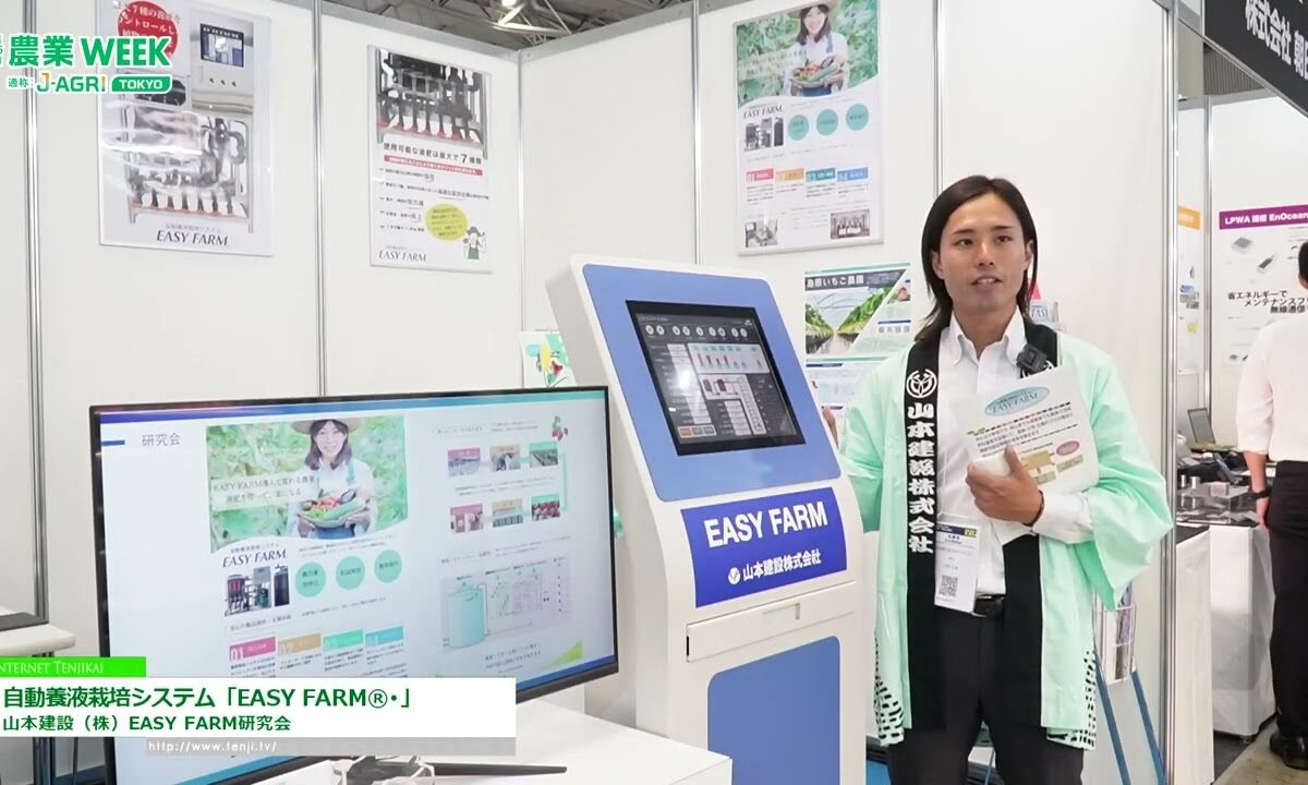 Video thumbnail for youtube video wjil4phoxnw