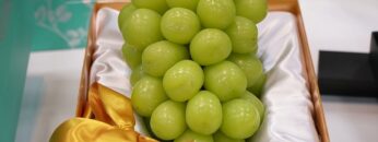 Video thumbnail for youtube video 0-cpy5xqnlw