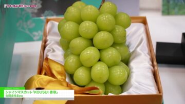 Video thumbnail for youtube video 0-cpy5xqnlw