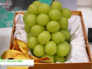 Video thumbnail for youtube video 0-cpy5xqnlw