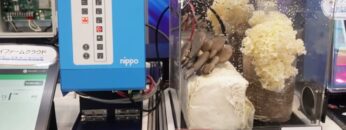 Video thumbnail for youtube video nic7gp-j9gc