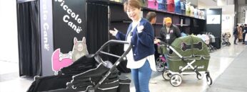 Timeline 1_00_00_35_24