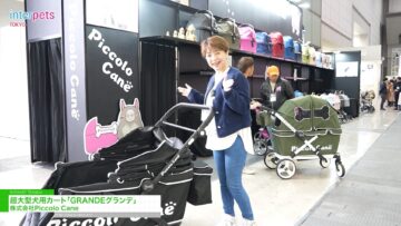 Timeline 1_00_00_35_24