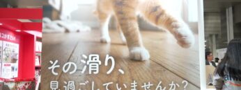 Video thumbnail for youtube video d6trnnc3xi0