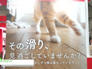 Video thumbnail for youtube video d6trnnc3xi0