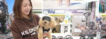 Video thumbnail for youtube video nsivdhm0aow