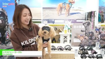 Video thumbnail for youtube video nsivdhm0aow