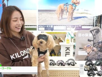 Video thumbnail for youtube video nsivdhm0aow