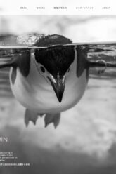 www.superpenguin.jp_(windows1920x1080)