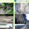 Video thumbnail for youtube video a0bejhf-zhi